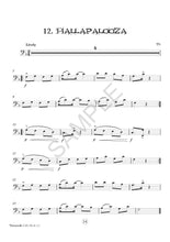 Load image into Gallery viewer, Vamoosh Cello Book 2.5