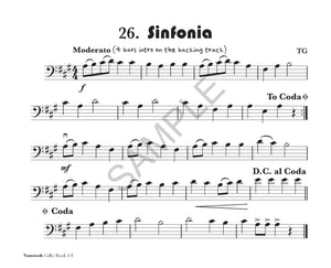 Vamoosh Cello 1.5