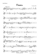 Load image into Gallery viewer, Musaica for multi-level string ensemble by Thomas Gregory