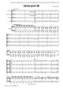 Never Give Up by Thomas Gregory for String Ensemble PDF