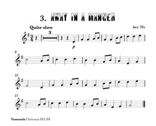 Load image into Gallery viewer, Christmas Flute Book