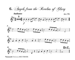 Vamoosh Christmas Recorder