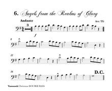 Load image into Gallery viewer, Vamoosh Christmas Double Bass