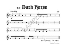 Load image into Gallery viewer, Vamoosh Violin Book 1