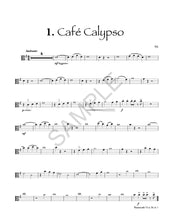 Load image into Gallery viewer, Vamoosh Viola Book 3