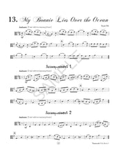 Load image into Gallery viewer, Vamoosh Viola Book 3