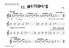 Load image into Gallery viewer, Vamoosh Flute Book 1