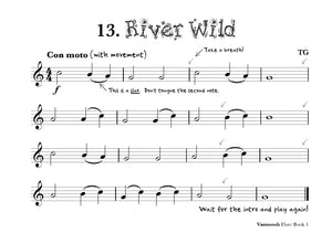 Vamoosh Flute Book 1