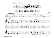 Load image into Gallery viewer, Vamoosh Flute Book 1