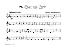 Load image into Gallery viewer, Vamoosh Flute Book 1
