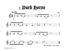 Load image into Gallery viewer, Vamoosh Flute Book 2
