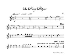 Load image into Gallery viewer, Vamoosh Flute Book 2
